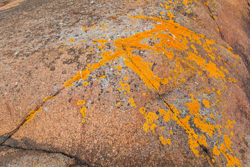 Oranges Moos auf rotem Felsen. Orangene Textur. Orange texture. Orange moss on red rock.