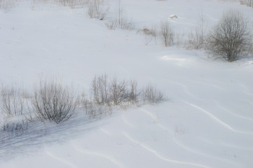 winter landscape with trees and road in winter