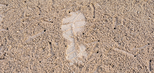 Top view of flip flops imprint with ghost crab holes on the beach .
