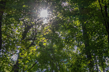 Beautiful Day