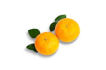 Isolated oranges on white background