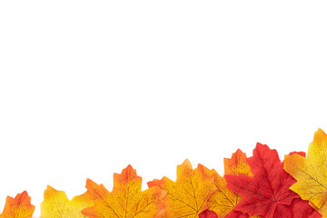 Flat lay Autumn maple leaves texture. Background made of color red and orange leaves isolate on white background. Top view, Nature background