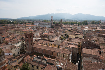 Fototapeta premium Altstadt von Lucca in der Toskana, Italien