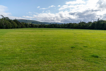 Main explanade with grass of Marlay Park.