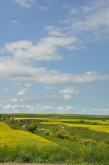 Obraz premium Winding Cannonball River