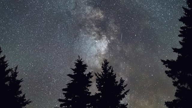 Time lapse of the night sky filled with stars including the core of the Milky Way with pine trees silhouetted on the horizon.