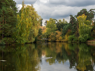 Autumn, river, trees.