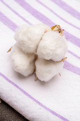 Soft natural fiber kitchen and bed textile made from organic cotton bolls