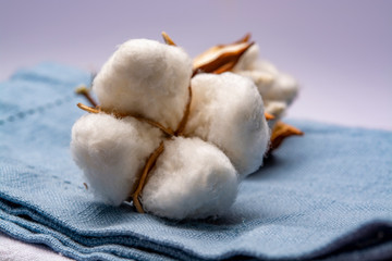 Soft natural fiber kitchen and bed textile made from organic cotton bolls