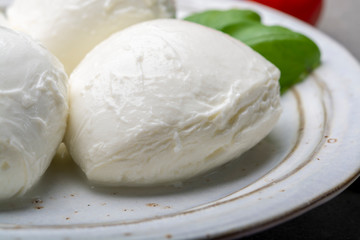 Fototapeta na wymiar Cheese collection, balls Italian soft white cheese mozzarella