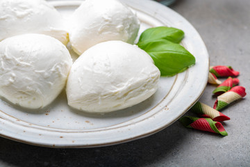 Cheese collection, balls Italian soft white cheese mozzarella
