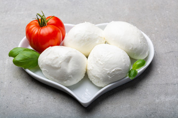 Cheese collection, Italian soft white cheese mozzarella in balls