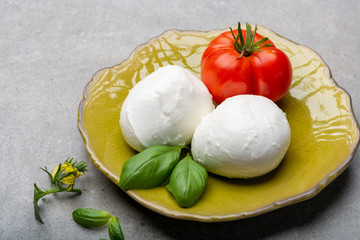 Cheese collection, Italian soft white cheese mozzarella in balls
