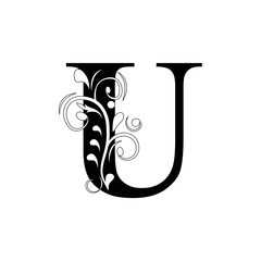 letter U. Black flower alphabet.  Beautiful capital letters.