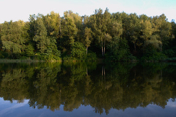 Fototapeta na wymiar Forest shore of a lake with mirror reflection. Sunny summer day with clear blue sky and lush green