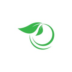 Leaf logo vector icon
