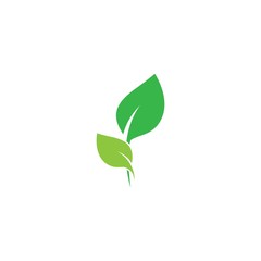 Leaf logo vector icon