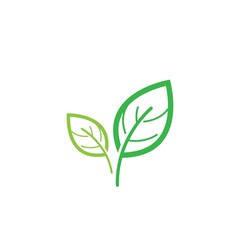 Leaf logo vector icon