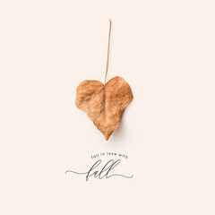 minimalist conceptual autumn / fall concept or greeting card with single heart-shaped dry leaf and...