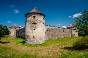Fototapeta na wymiar Castle Bzovík