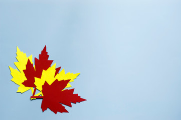 yellow and red paper autumn leaves