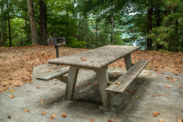 Picnic table and grill
