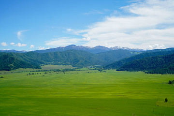 Fototapeta na wymiar Landscape with mountains and green grass field, blue sky with clouds