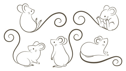 Naklejka na ściany i meble Set of hand drawn rats, mouse in different poses on white background. Vector illustration, cartoon doodle style.