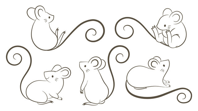 Set of hand drawn rats, mouse in different poses on white background. Vector illustration, cartoon doodle style.