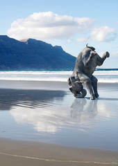 ein Elefant macht einen Kopftstand am Strand