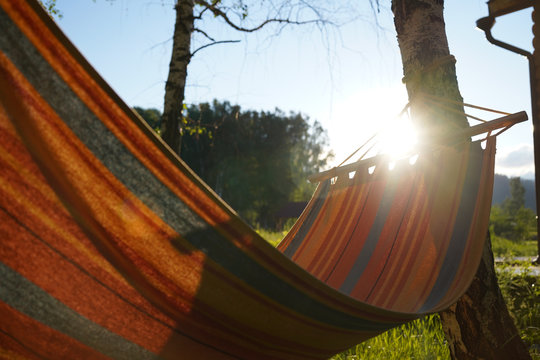An empty hammock with red and blue stripes is hanging on the bearch tree