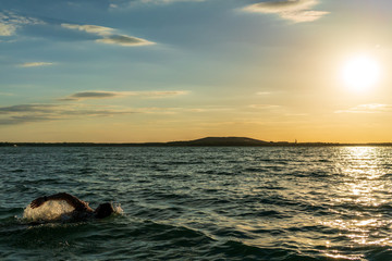 Naklejka premium Man swimming in open water at sunset, Störmthaler Lake near Leipzig, Saxony, Germany