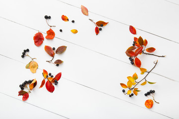 autumn leaves on white wooden background. School and autumn background. Fall mock up