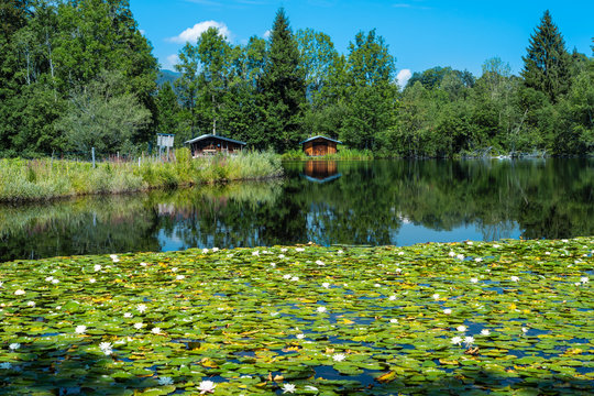 Moorweiher bei Oberstdorf