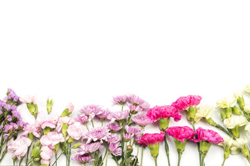Colorful carnation flowers on white background, top view