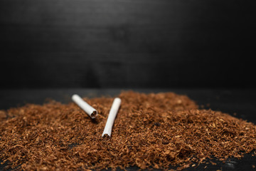 Raw tabaco on black wood background with copy space for text