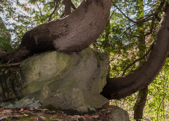 Overcoming obstacles