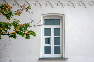Fototapeta na wymiar Lonely window on a white wall with colorful tree leaves in the fall. The wall is white and colored leaves of the tree. Facade of a house and tree branch on an autumn day.