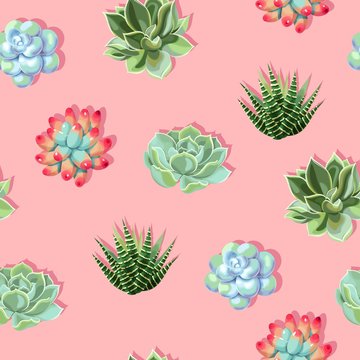 Vector seamless pattern with high detail succulent