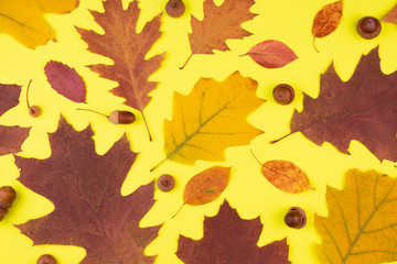 Close-up of dry autumn leaves on a yellow background. Autumn ornament.