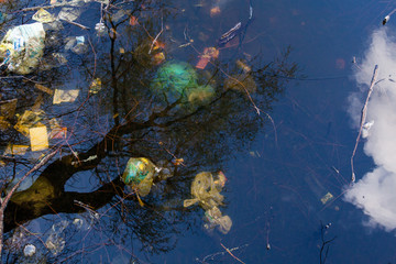 Garbage and tree reflections in water