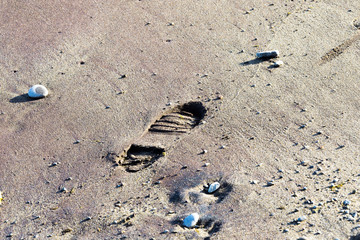 footprint of a shoe on a sandy beach