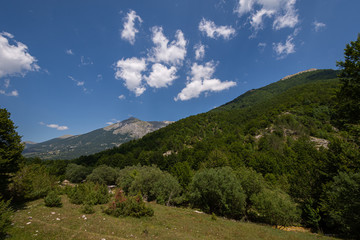 Mountains of the National Park of Abruzzo, Lazio and Molise.  Val Fondillo. Wonderful summer...