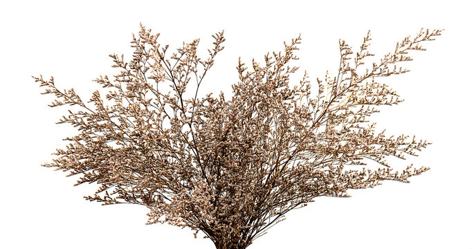 dried flower bouquet