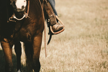 Western lifestyle shows boot in stirrup close up on horse during horseback riding, copy space on field background. - obrazy, fototapety, plakaty