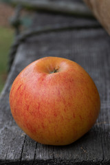 Apfel