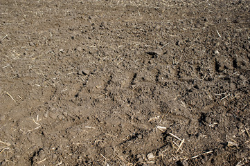 plowed field of black soil in autumn after harvesting