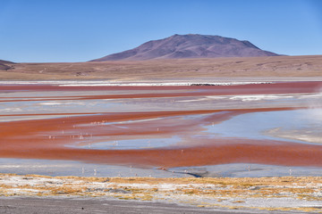 Bolivien - Laguna Colorada