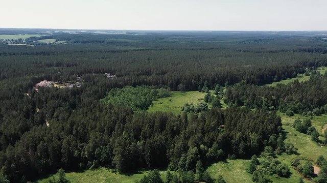 The camera flies over a picturesque forest