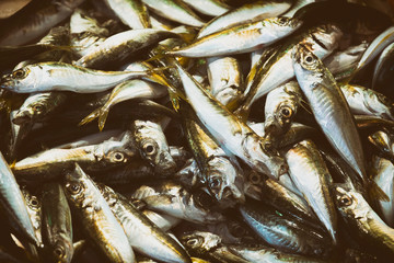 Fresh Fishes At The Market